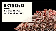 Ausstellung „Extreme! Natur und Kultur am Humboldtstrom“