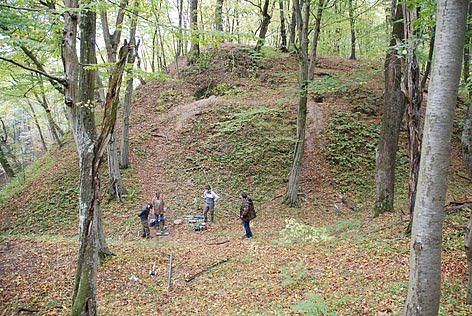 Mehrere Menschen stehen in einem Wald