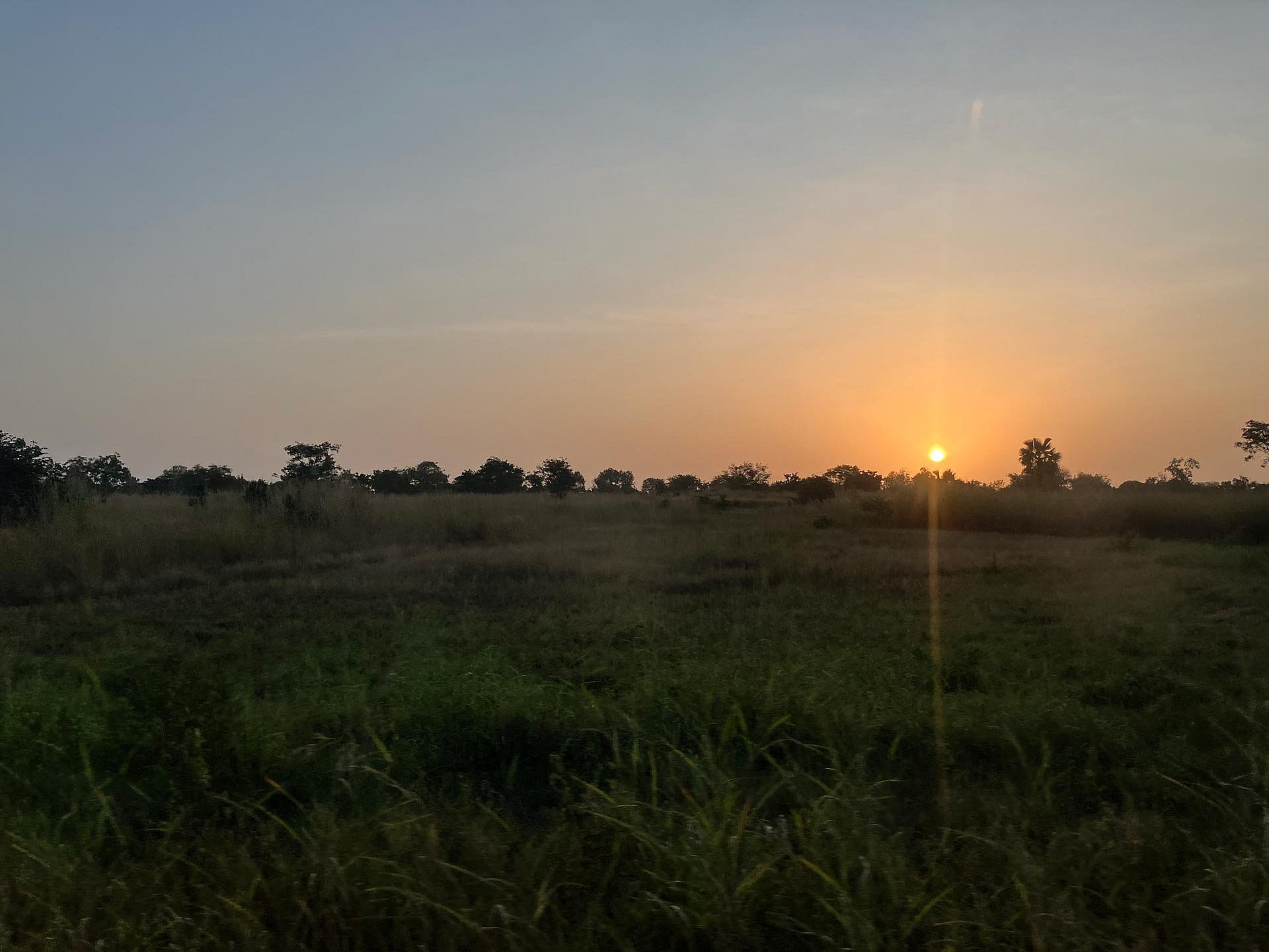Sonnenuntergang vor großer Wiese und Bäumen