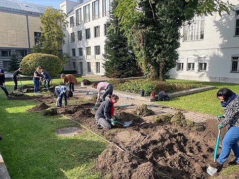 Mehrere Personen graben einen Rasen um (öffnet Vergrößerung des Bildes)