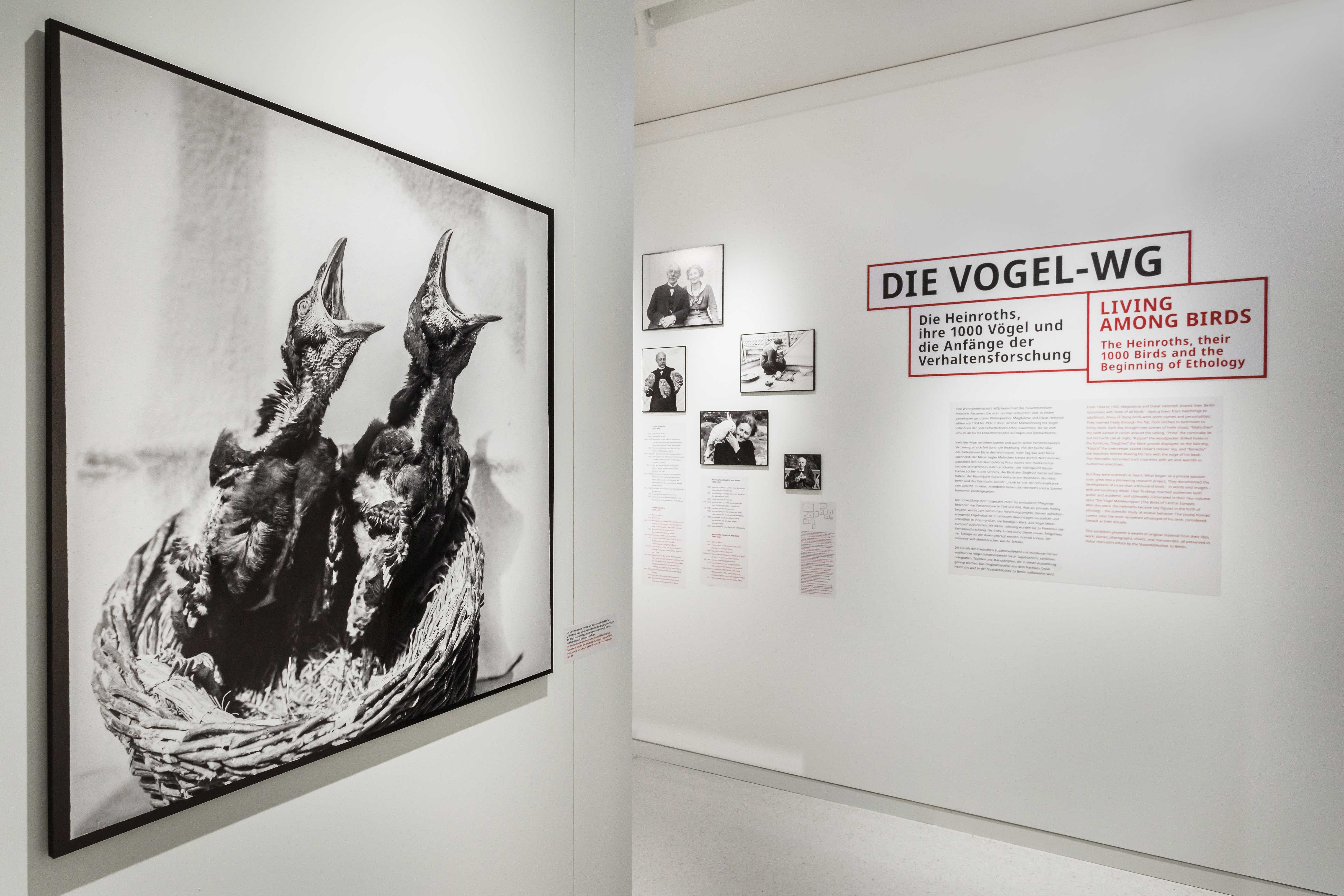 Exhibition view