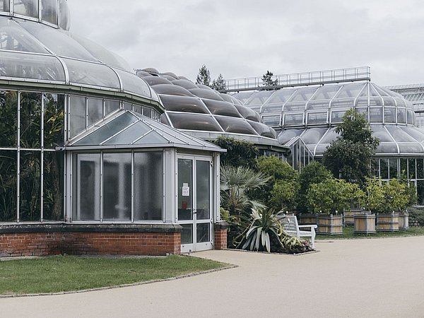 Der Botanische Garten Berlin in Dahlem. Foto: Paula Winkler
