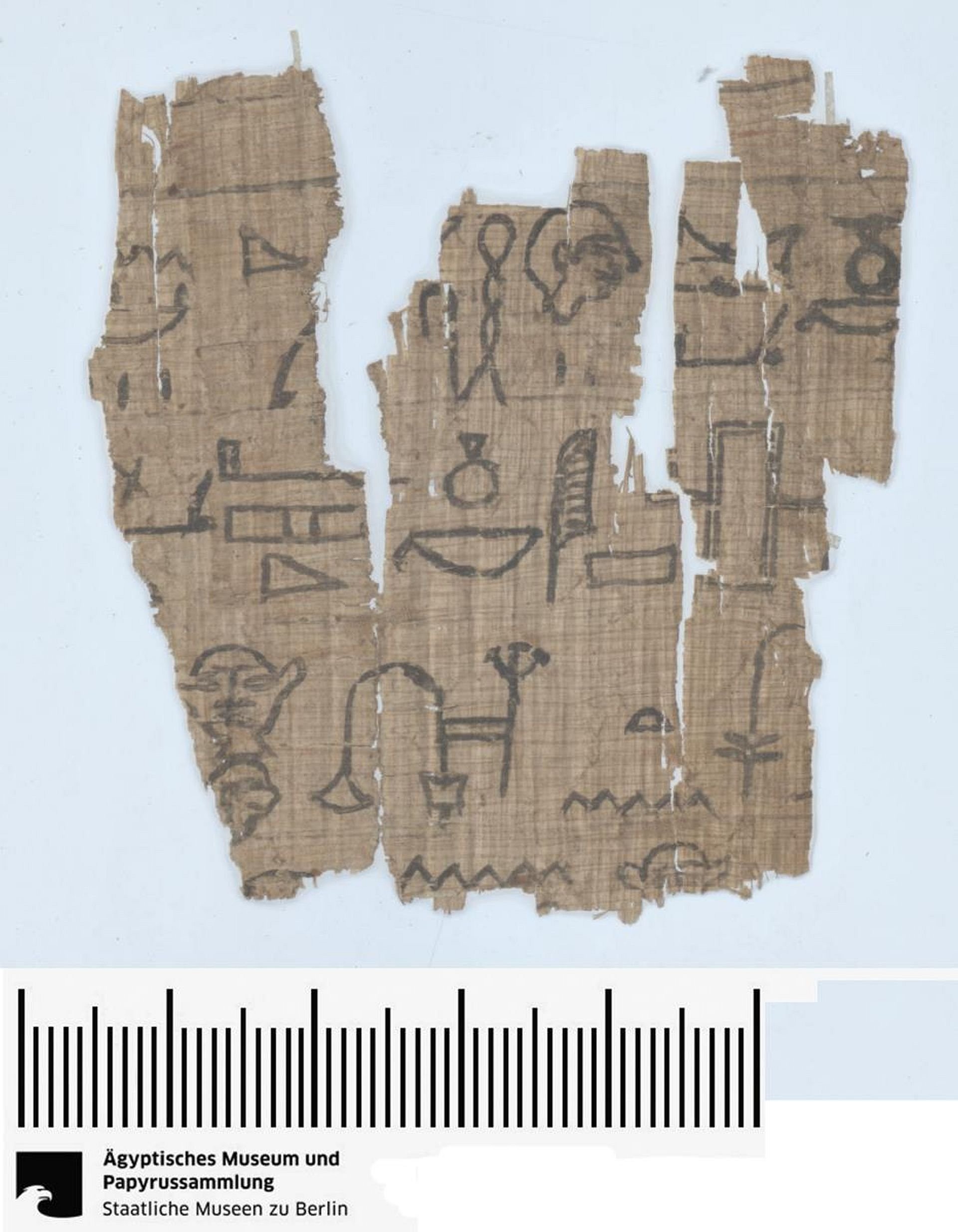 Teil eines Papyrus