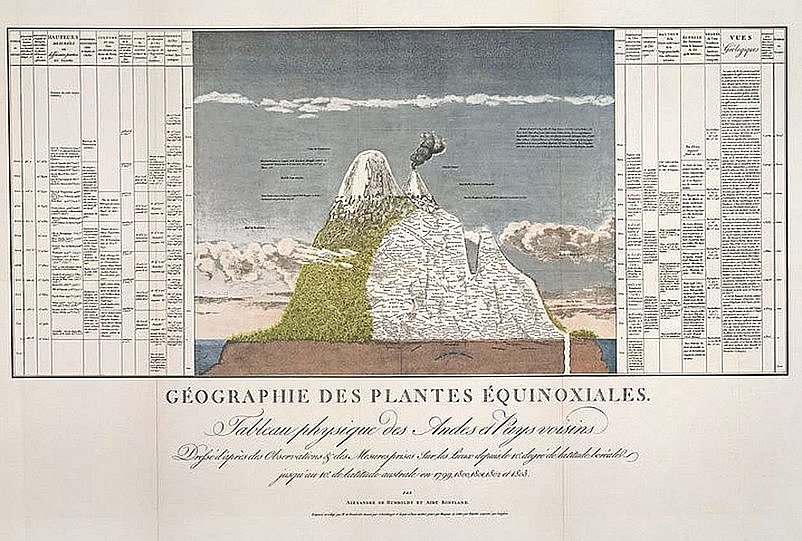 Querschnittszeichnung eines Bergs mit Vegetation (öffnet Vergrößerung des Bildes)