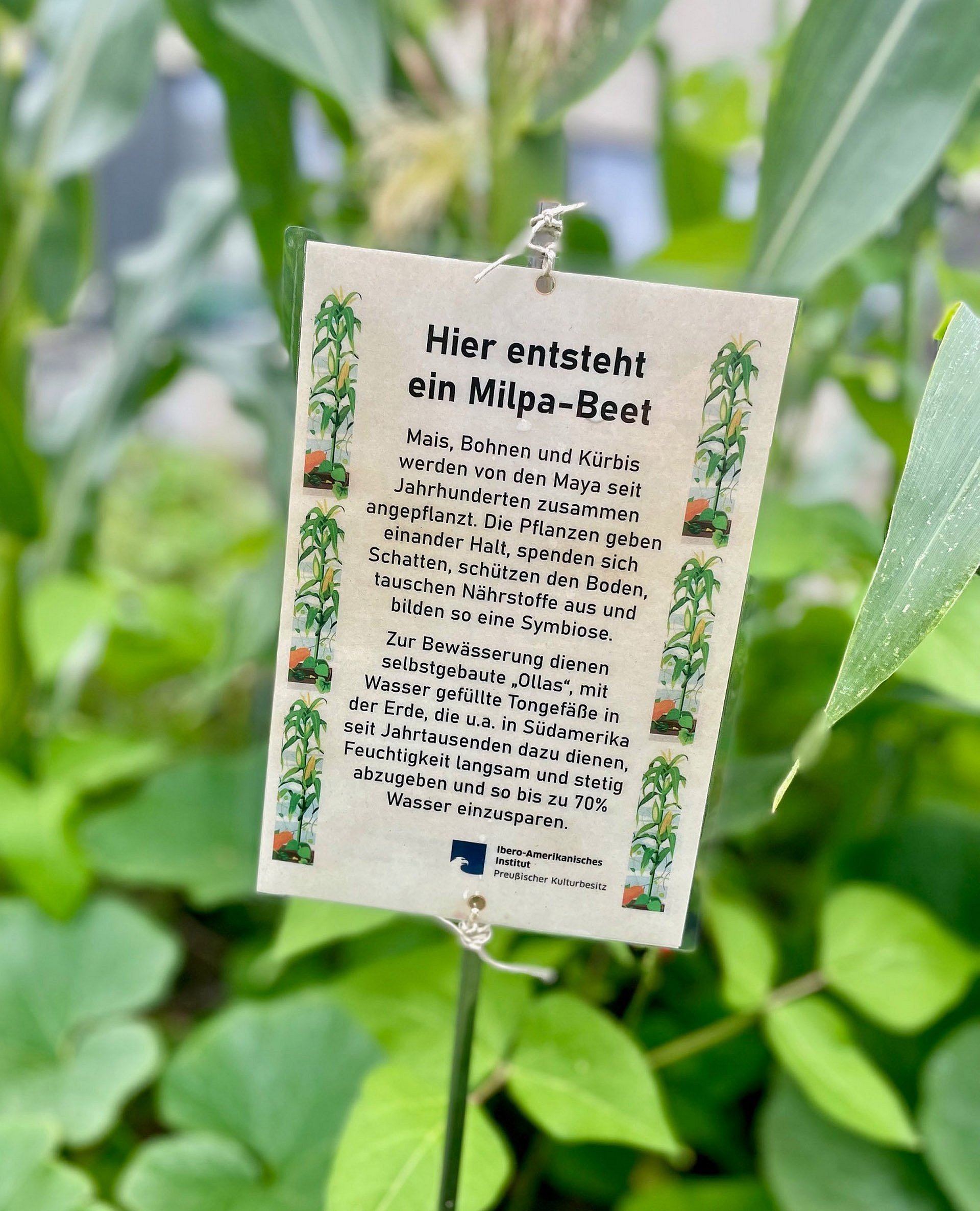 Ein Zettel in einem Beet