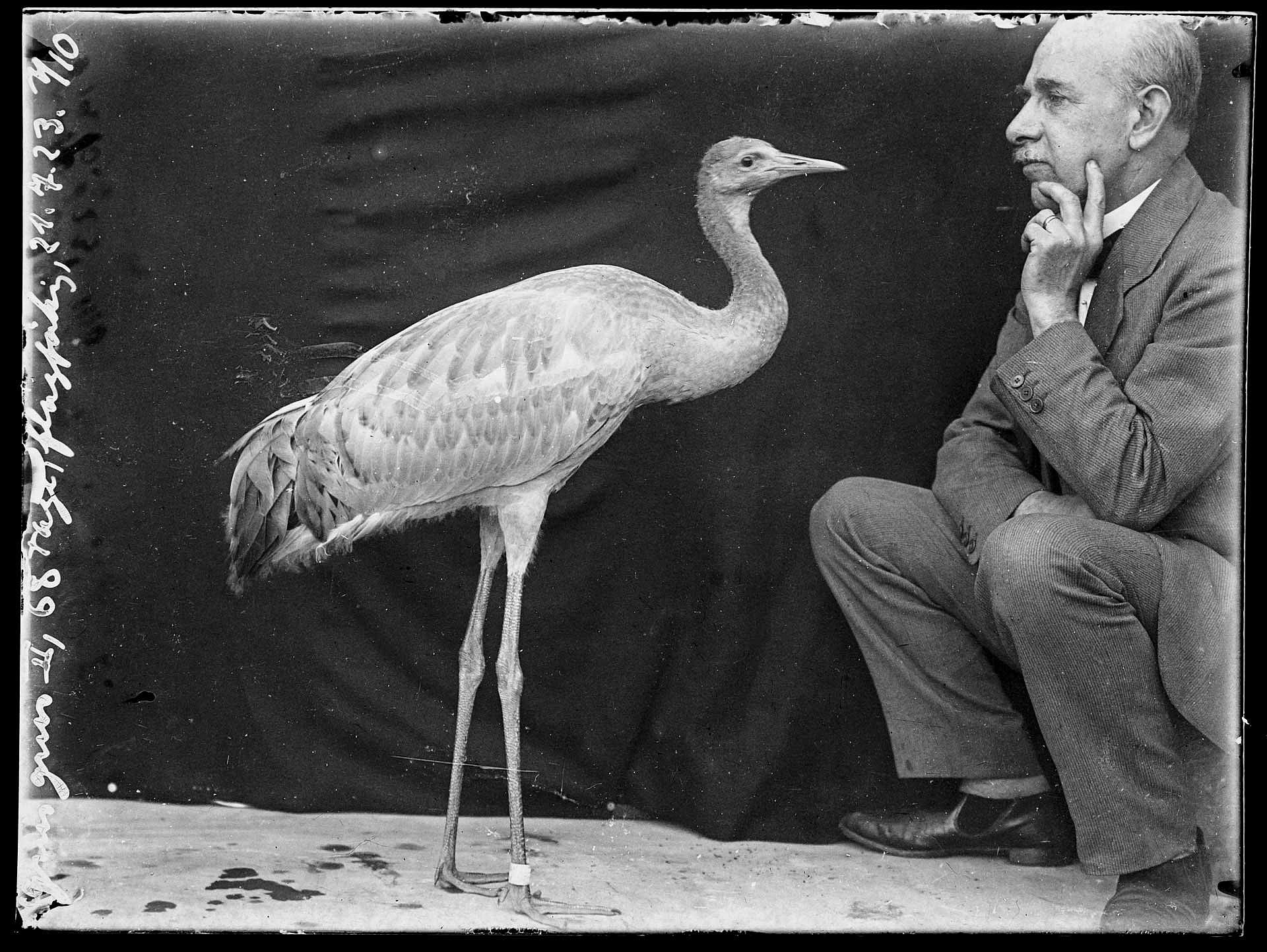 Man looking at a Crane