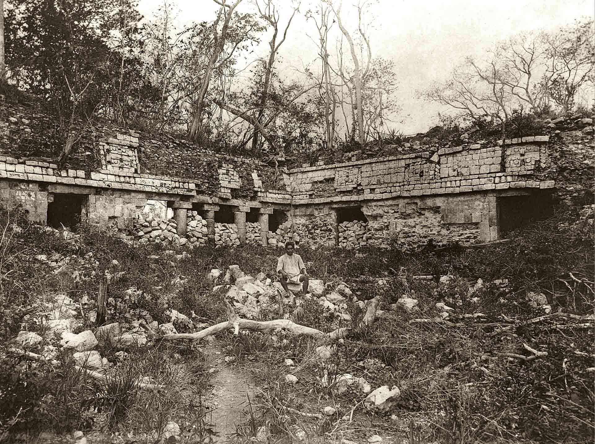 Historisches Foto eines zugewucherten Maya-Palastes (Ruine)