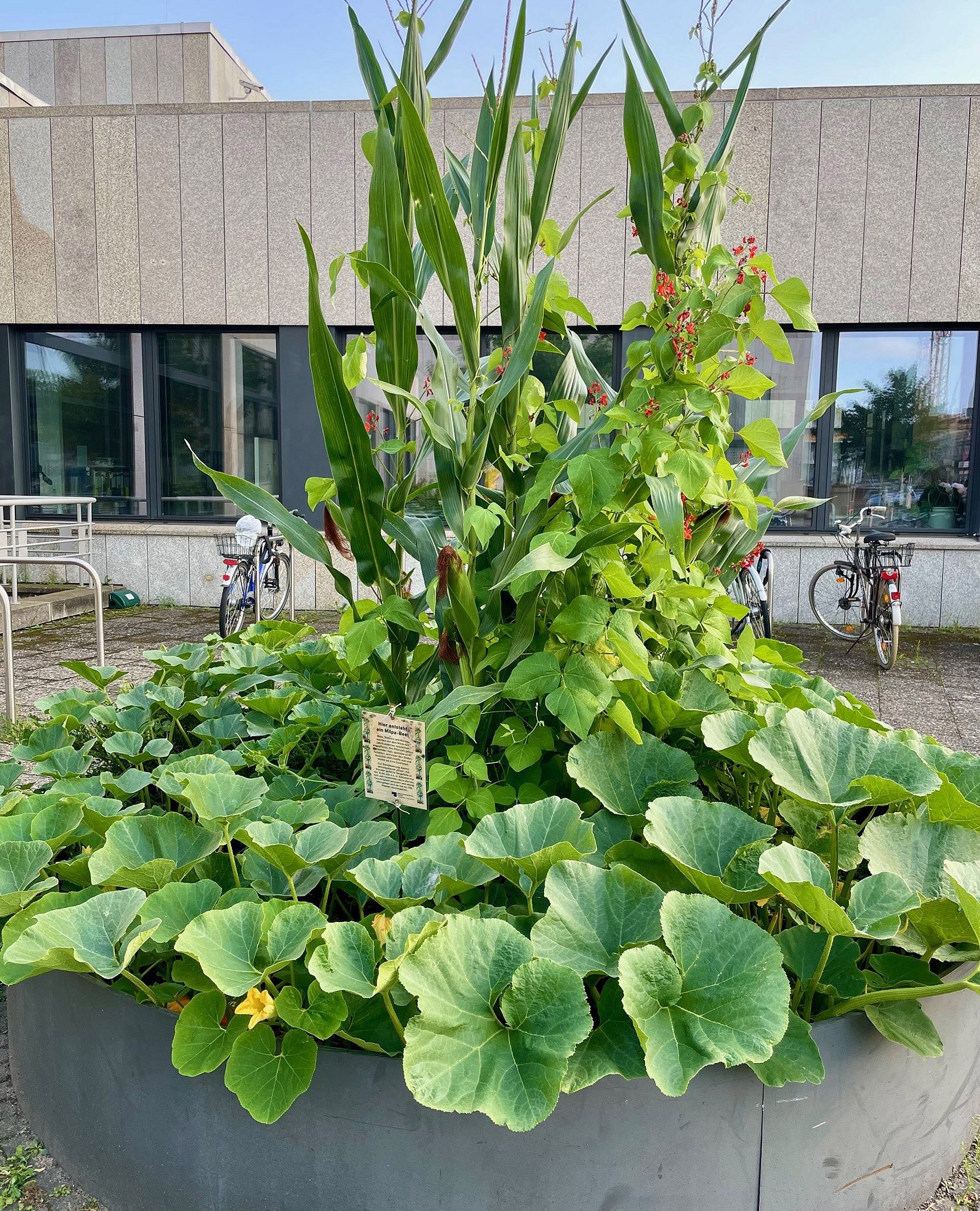 Ein Beet vor einem Forschungsinstitut