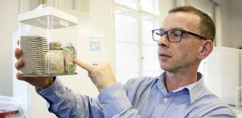 Zum Artikel "ForschungsFRAGEN: Schädlingsbekämpfung"