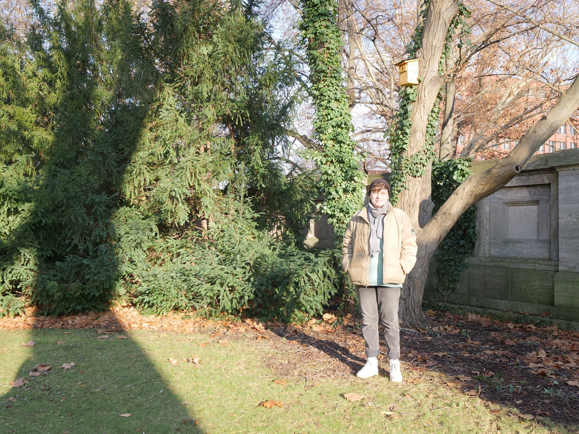 Person steht vor Bäumen im Herbstlaub