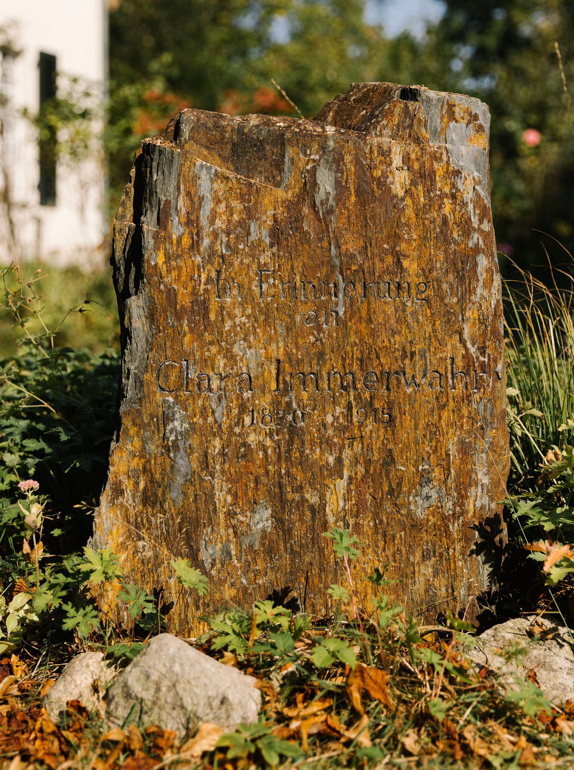 Nahansicht eines verwitterten Gedenksteins