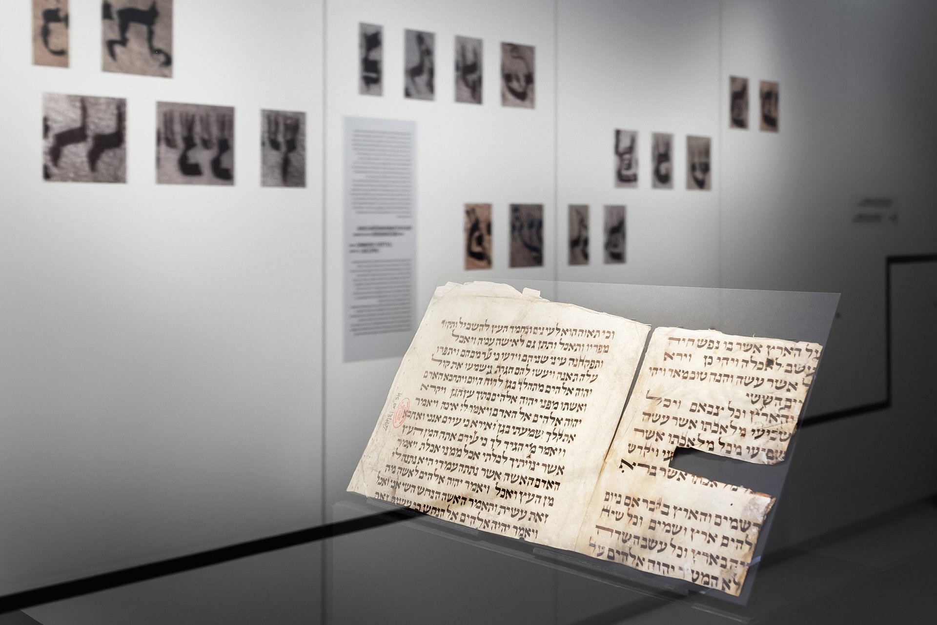 Ausstellungsansicht.