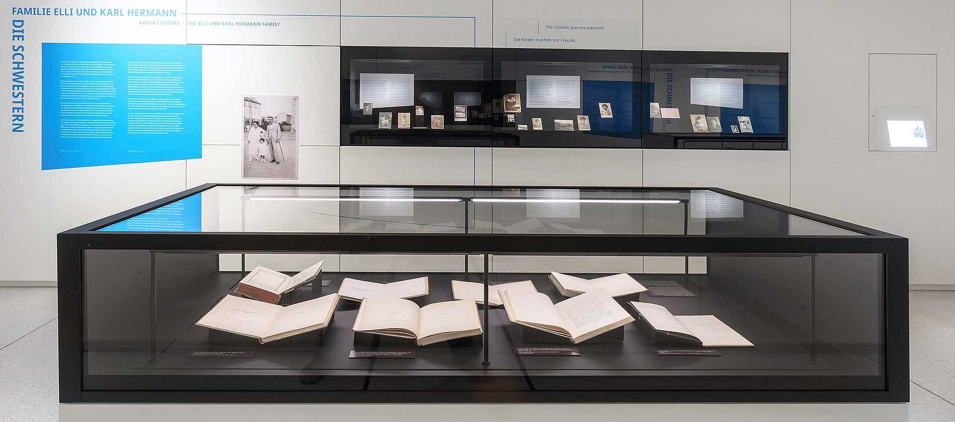 Blick auf eine Ausstellungsvitrine