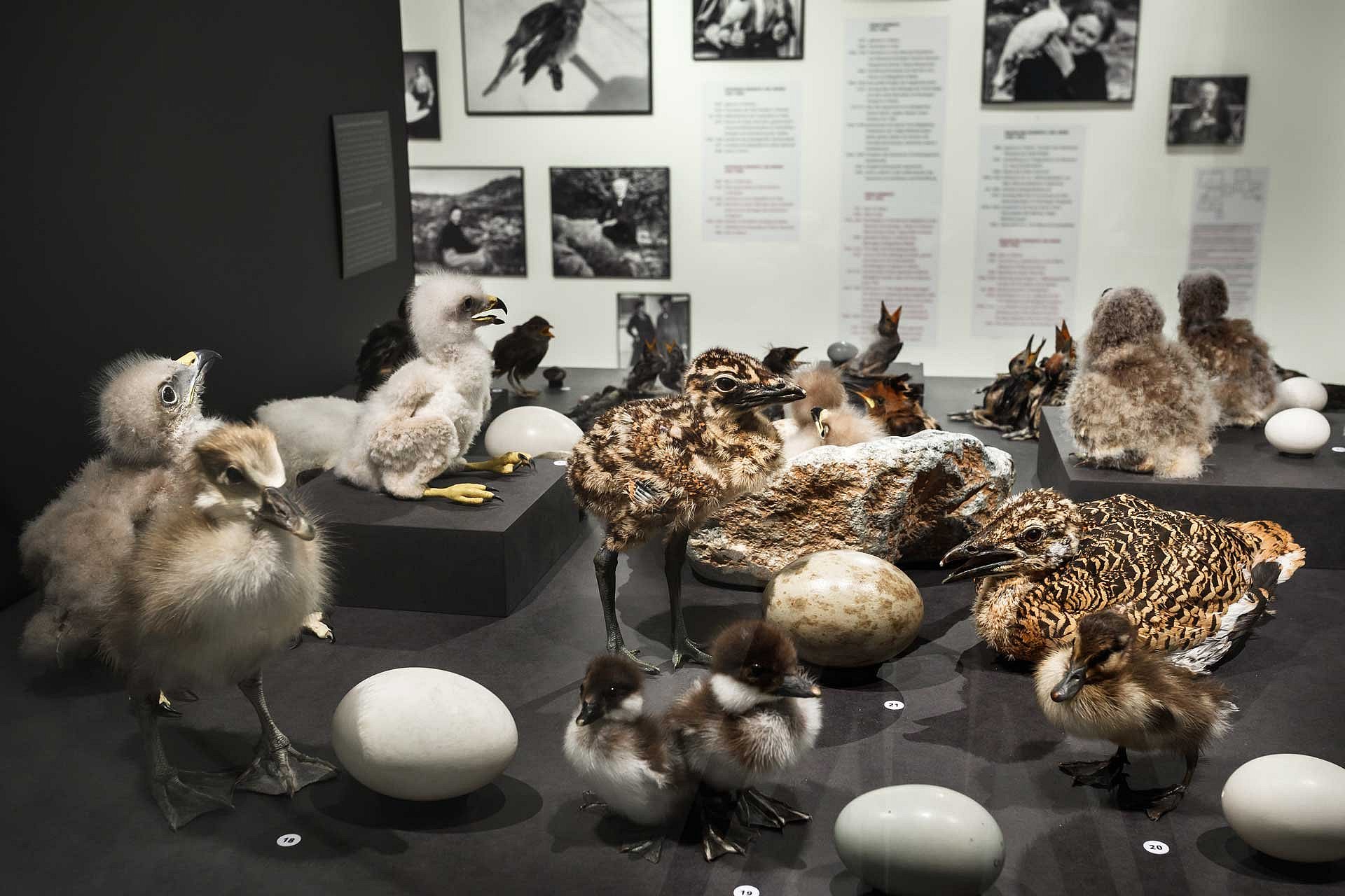 Exhibition view
