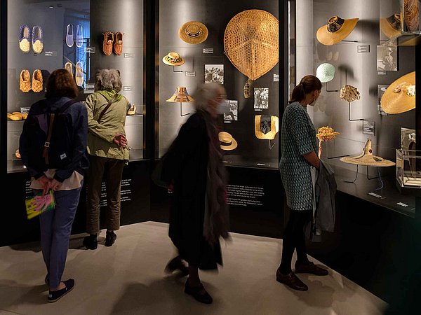 ALL HANDS ON: Flechten Besuchende in einer Vitrinenausstellung