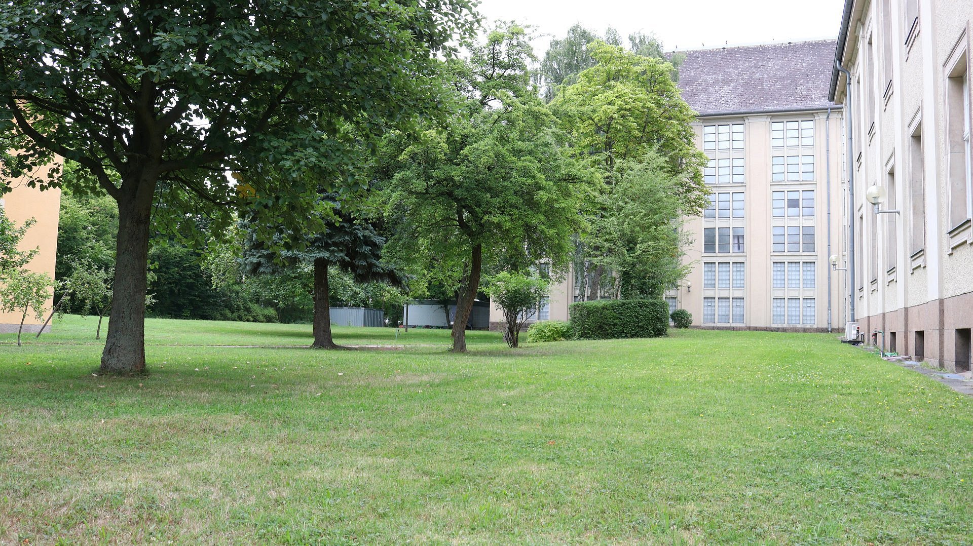 Ein großer Garten mit Häusern
