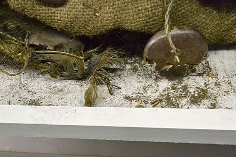 Nahaufnahme von Naturfasern