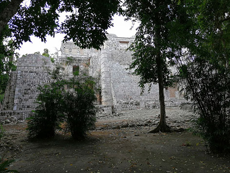 Historisches Steingebäude im Dschungel