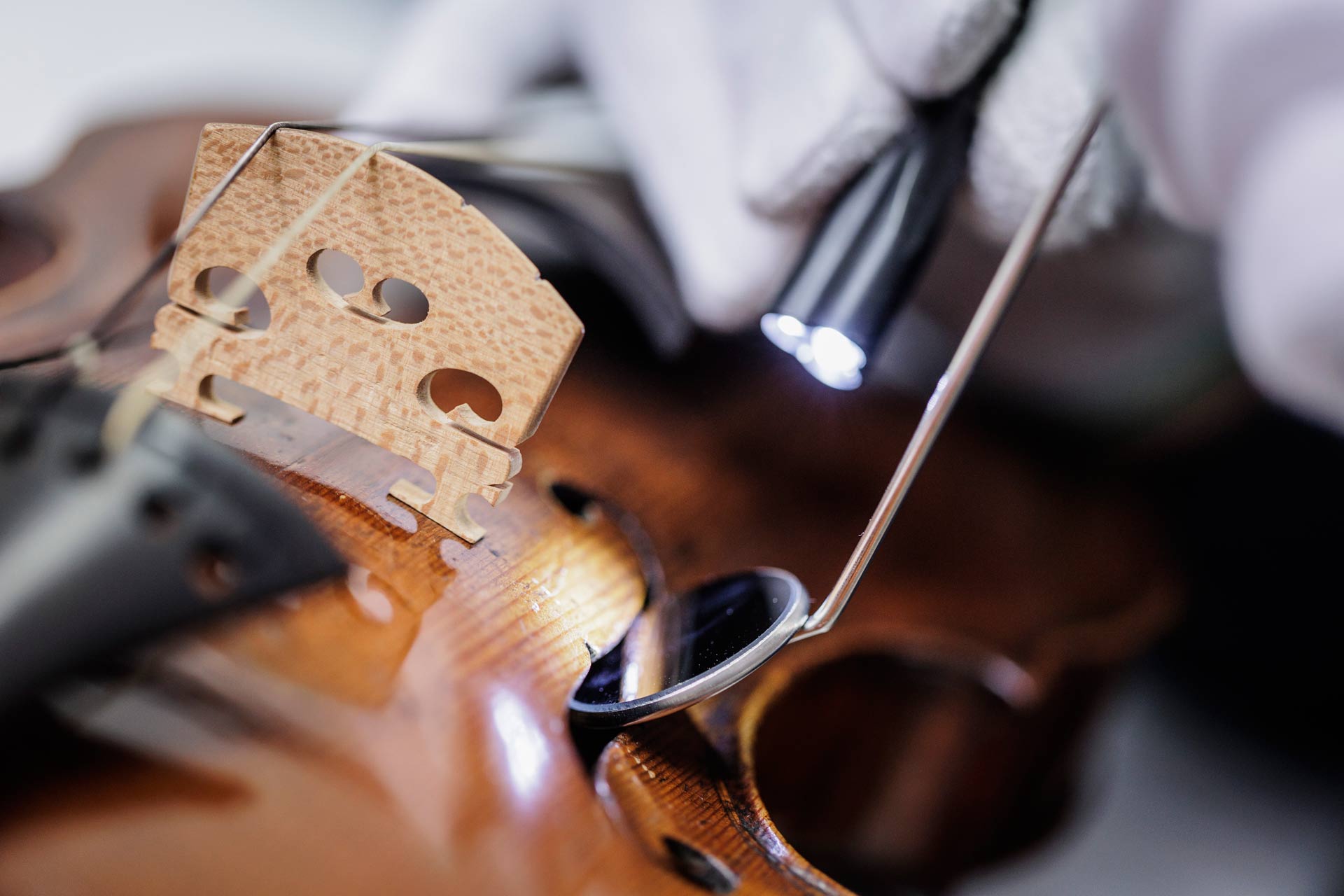 Detail einer Geige, zu sehen ist ein Untersuchungsspiegel und eine Taschenlampe